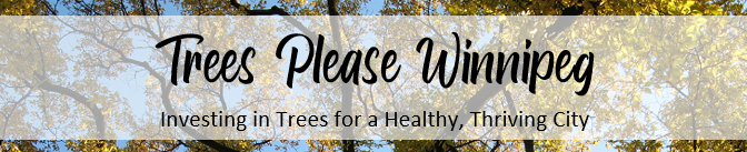 Take 15 minutes to help save Winnipeg’s trees